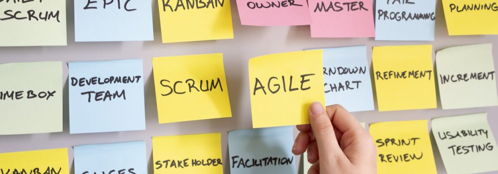 Manager programme agile
