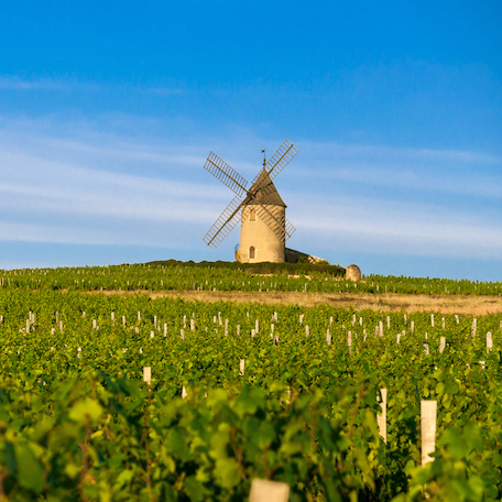 Hero Article Coach Agile ou Don Quichotte