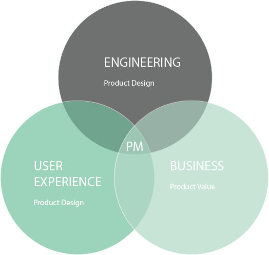 the product manager leads the product design and value